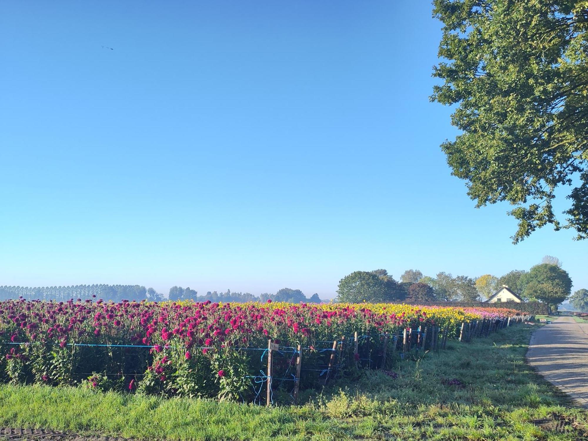 Zundert 'T Voske B&B 외부 사진