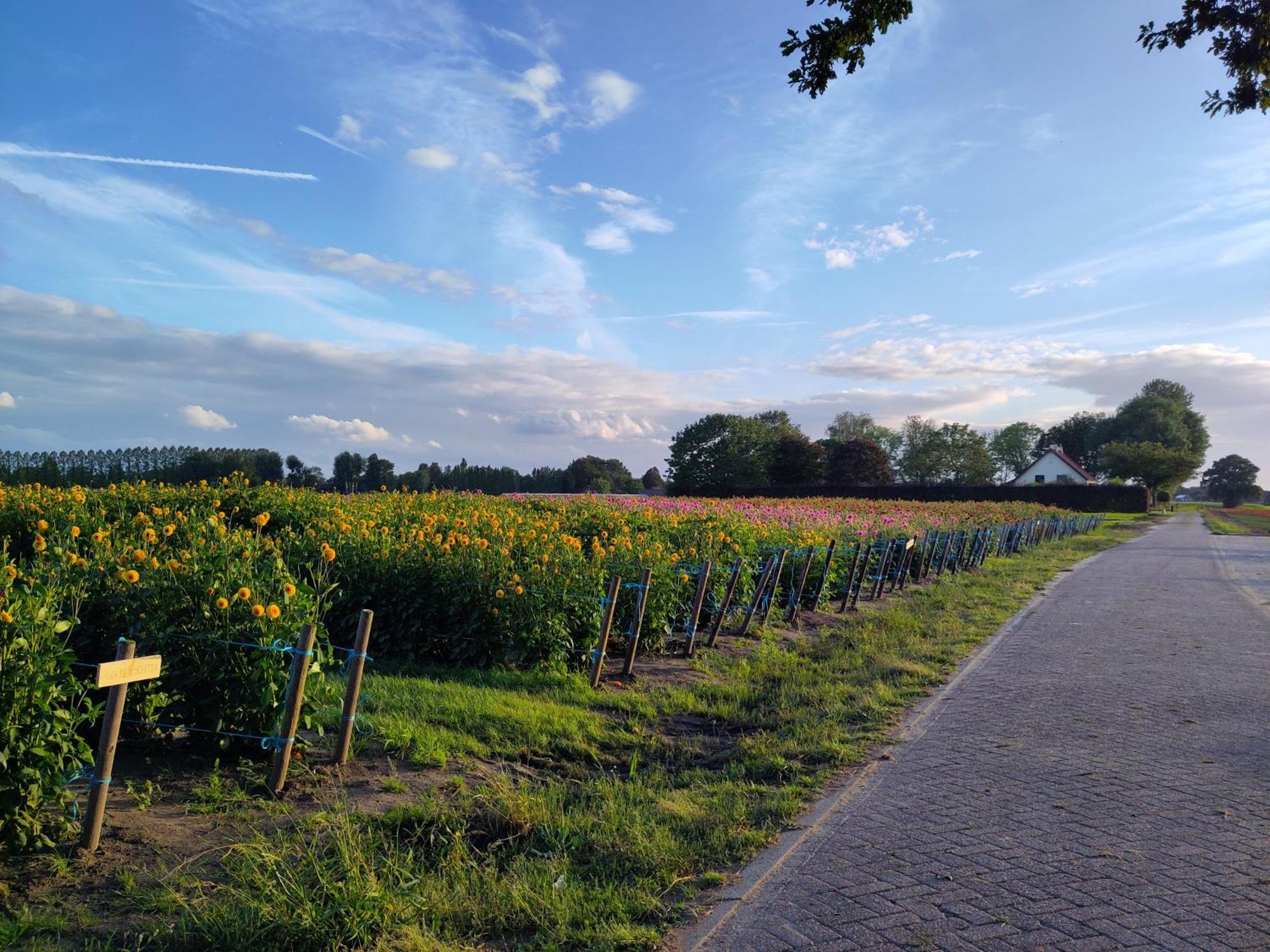 Zundert 'T Voske B&B 외부 사진