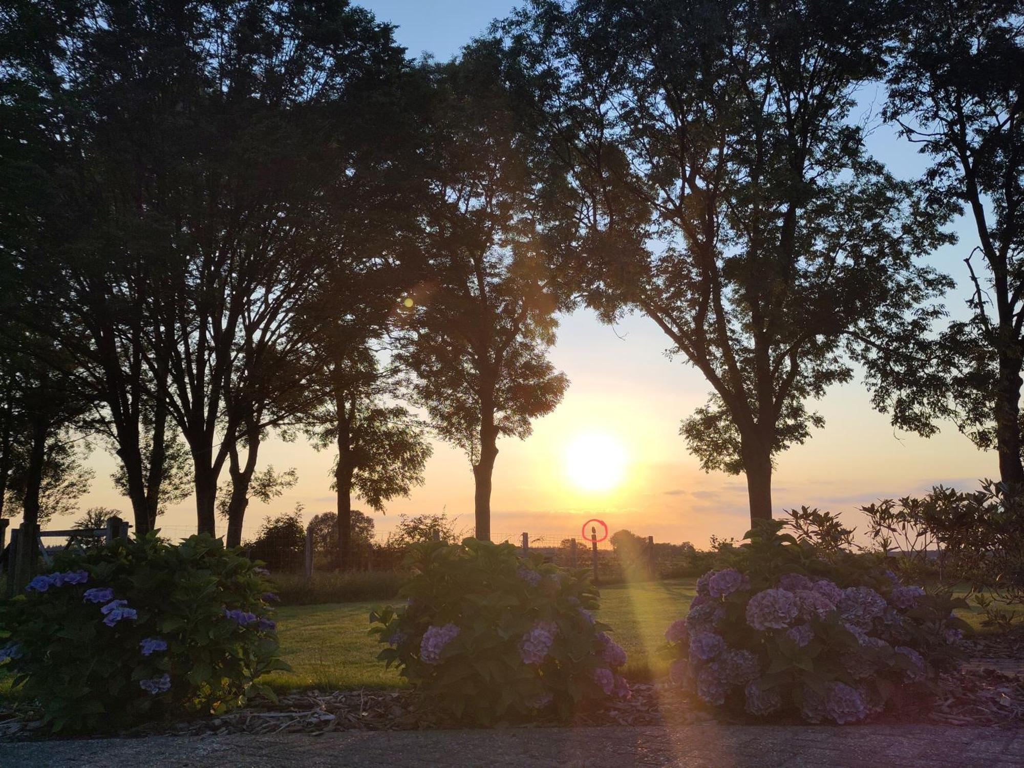 Zundert 'T Voske B&B 외부 사진